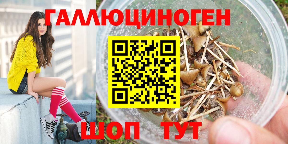 Азнакаево  Галлюциногенные грибы MAGIC MUSHROOMS  Вход с VPN 
