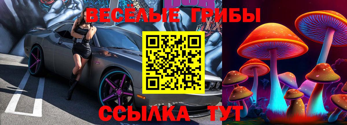 Псилоцибиновые грибы Magic Shrooms Азнакаево